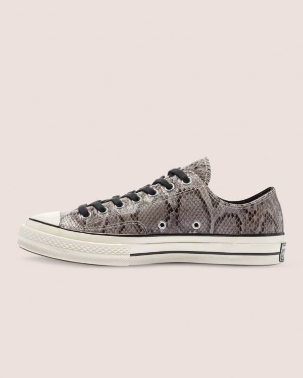 Converse Chuck 70 Reptile Suede Low Tops Shoes Grey | CV-260UHV