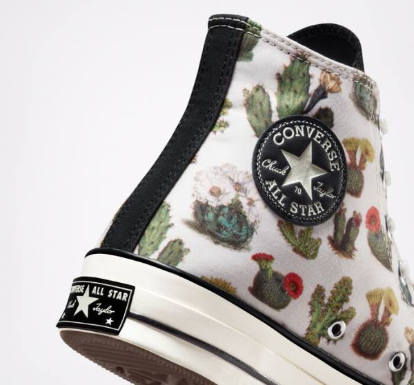 Converse Chuck 70 Succulents High Tops Shoes Black | CV-576TLC