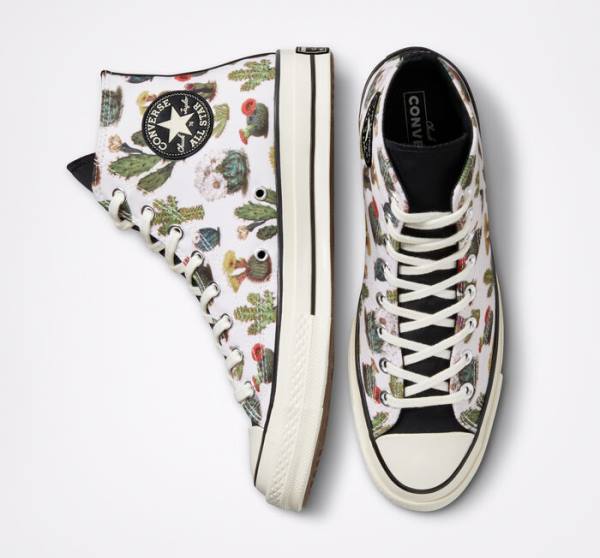 Converse Chuck 70 Succulents High Tops Shoes Black | CV-576TLC