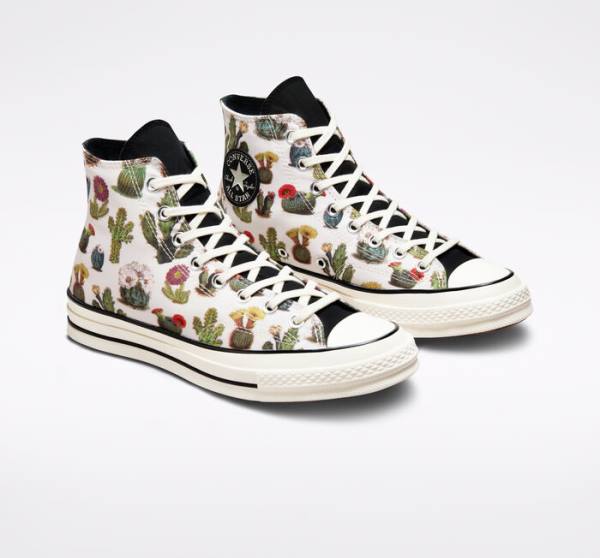 Converse Chuck 70 Succulents High Tops Shoes Black | CV-576TLC