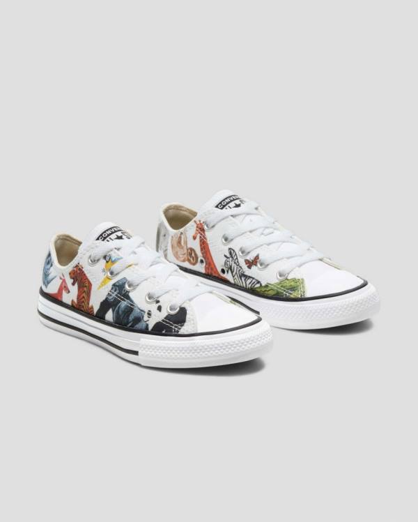 Converse Chuck Taylor All Star Animal Print Low Tops Shoes White | CV-560NPJ