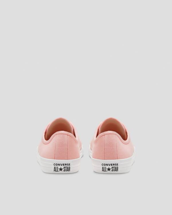 Converse Chuck Taylor All Star Dainty Seasonal Colour Low Tops Shoes Pink | CV-719VMH