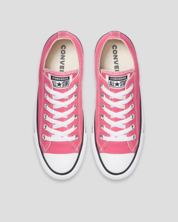 Converse Chuck Taylor All Star Seasonal Colour Low Tops Shoes Pink | CV-540RFI