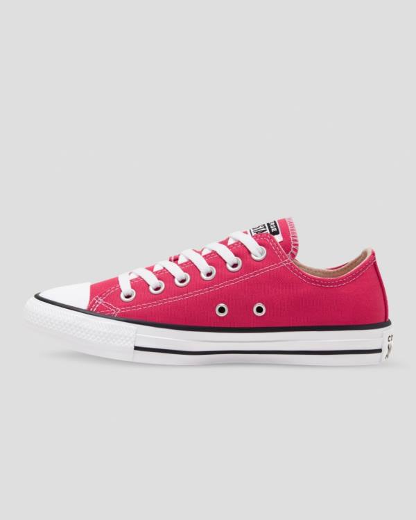 Converse Chuck Taylor All Star Seasonal Colour Low Tops Shoes Pink | CV-683PZY