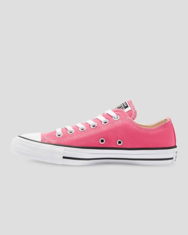 Converse Chuck Taylor All Star Seasonal Colour Low Tops Shoes Pink | CV-713FNW