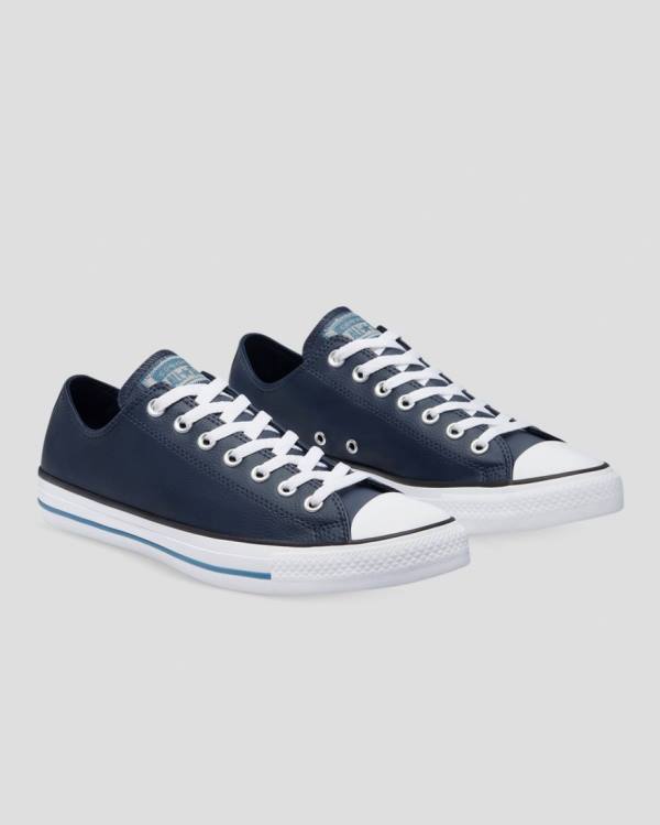 Converse Chuck Taylor All Star Summer Daze SL Low Tops Shoes Blue | CV-051KBP