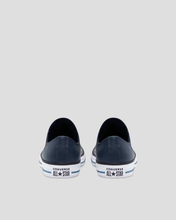 Converse Chuck Taylor All Star Summer Daze SL Low Tops Shoes Blue | CV-051KBP