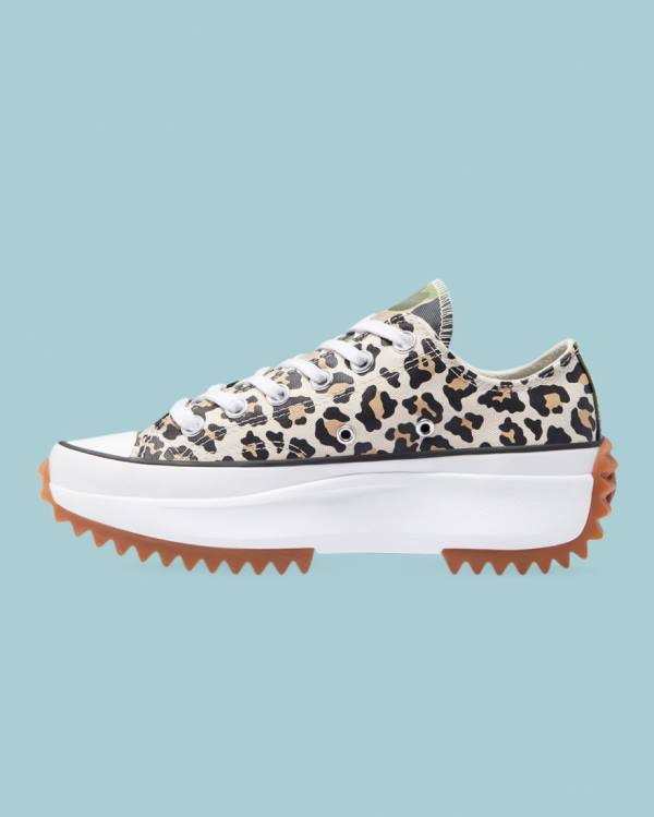 Converse Run Star Hike Wild Archive Low Tops Shoes Leopard | CV-658DXP